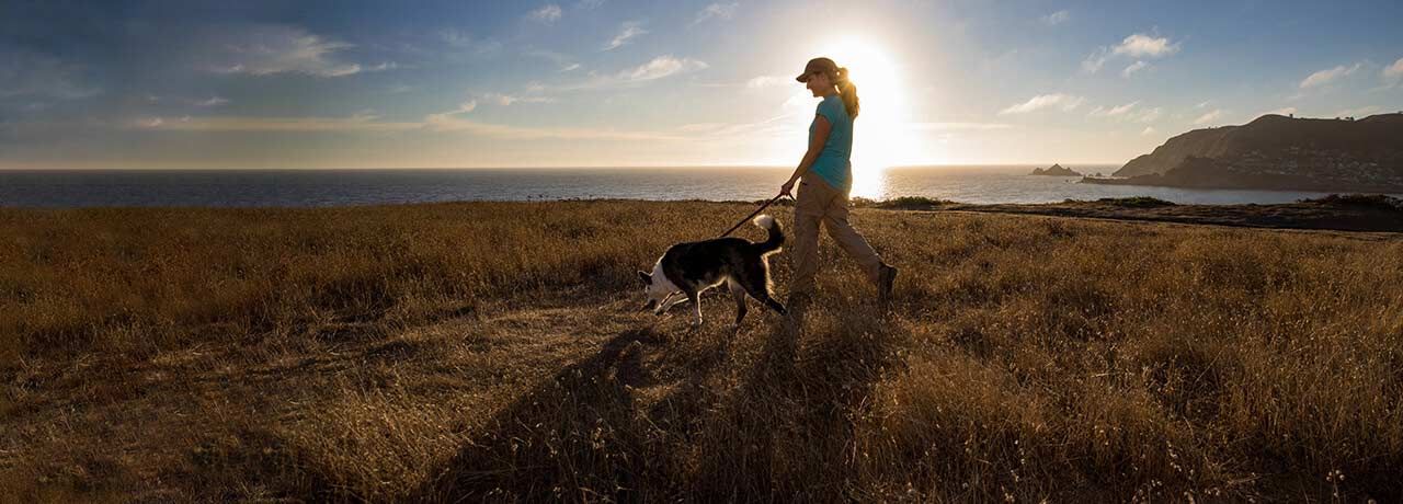 A Healthy Paws insured dog and their human on a scenic hike